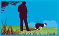 sheep dog trials small.jpg
